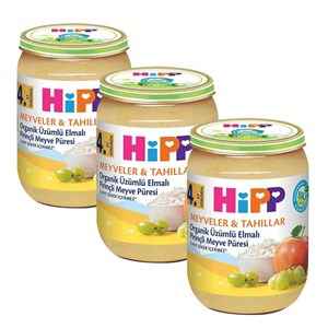 Hipp Organik Meyve Püresi 190 Gr +4 Ay x3 Adet 