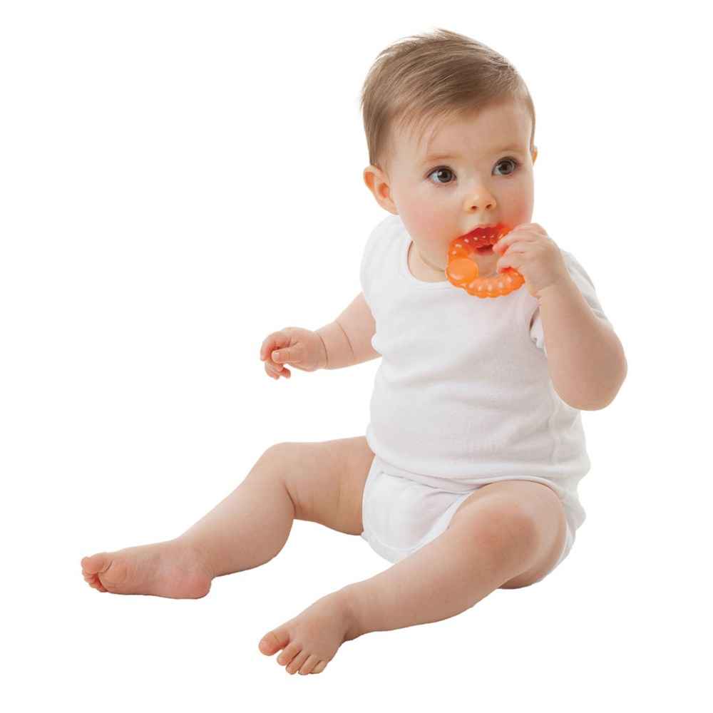 Playgro Geometri 3lü Sulu Dişlik 