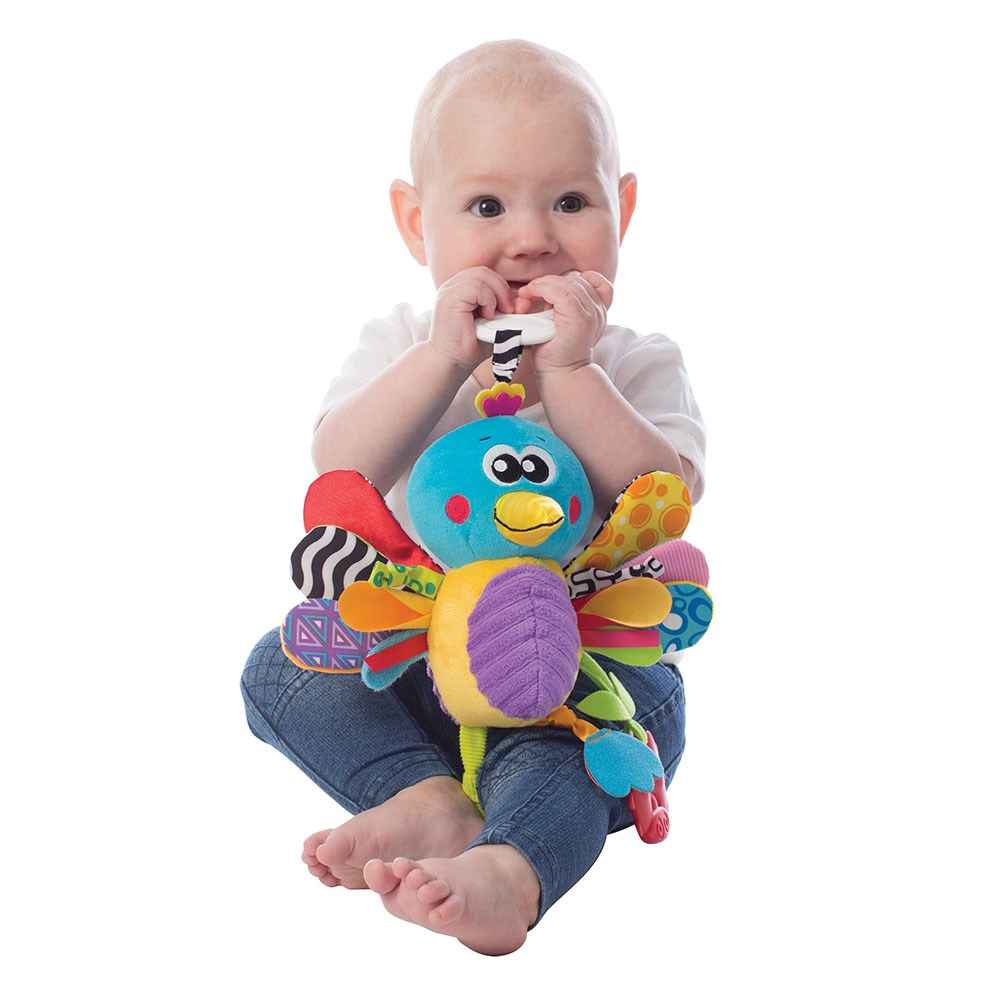 Playgro Aktivite Oyuncağı Kuş 
