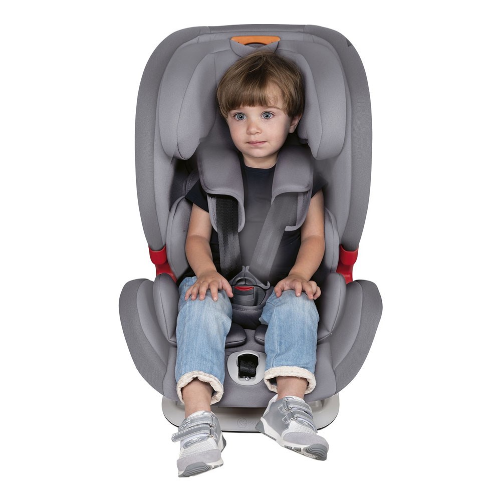 Chicco Youniverse Fix Oto Koltuğu 9-36 Kg Gri