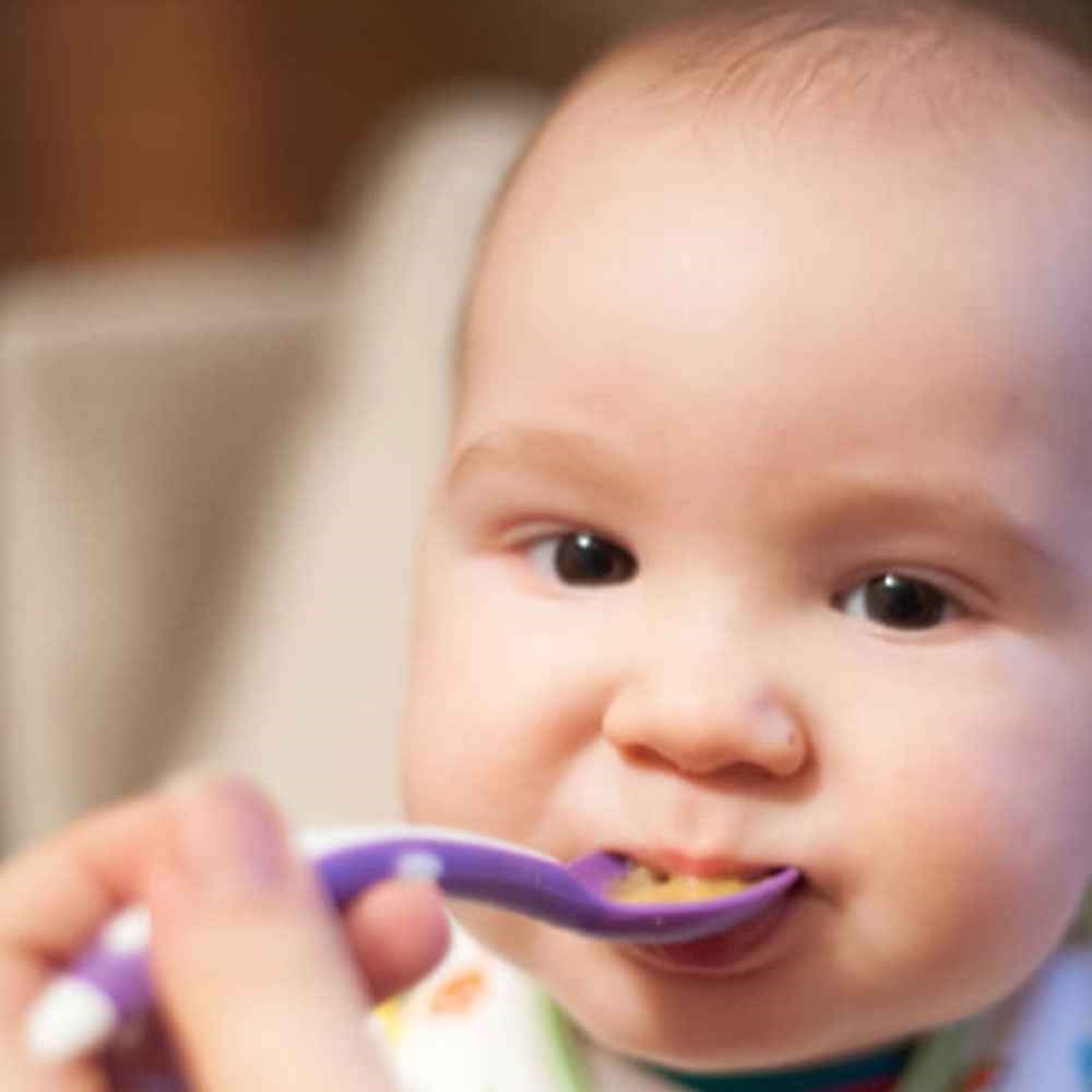 Mycey Taşıma Kutulu Mama Kaşığı Turuncu