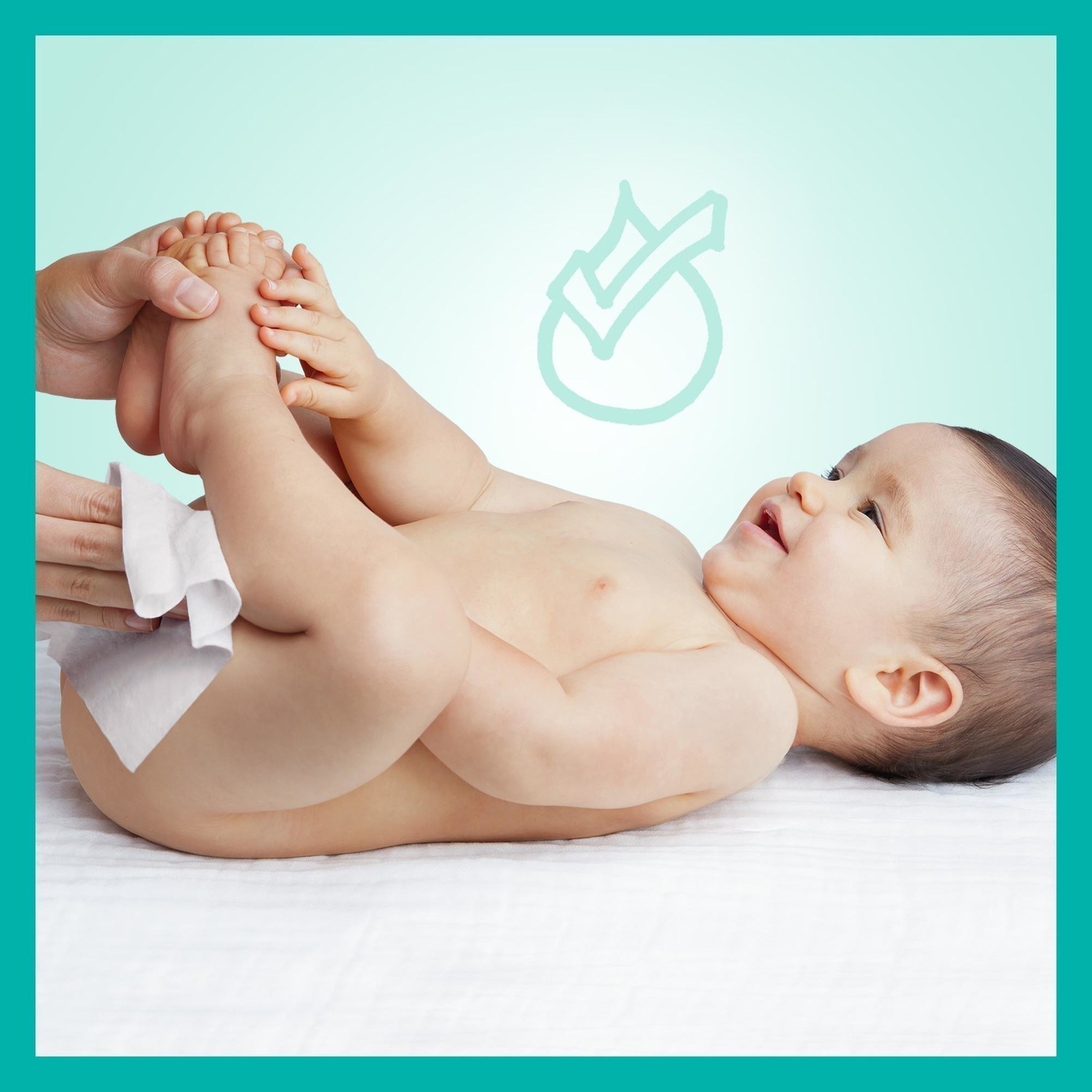 Prima Pampers Coconut Pure Islak Havlu 9x42'li 378 Yaprak 