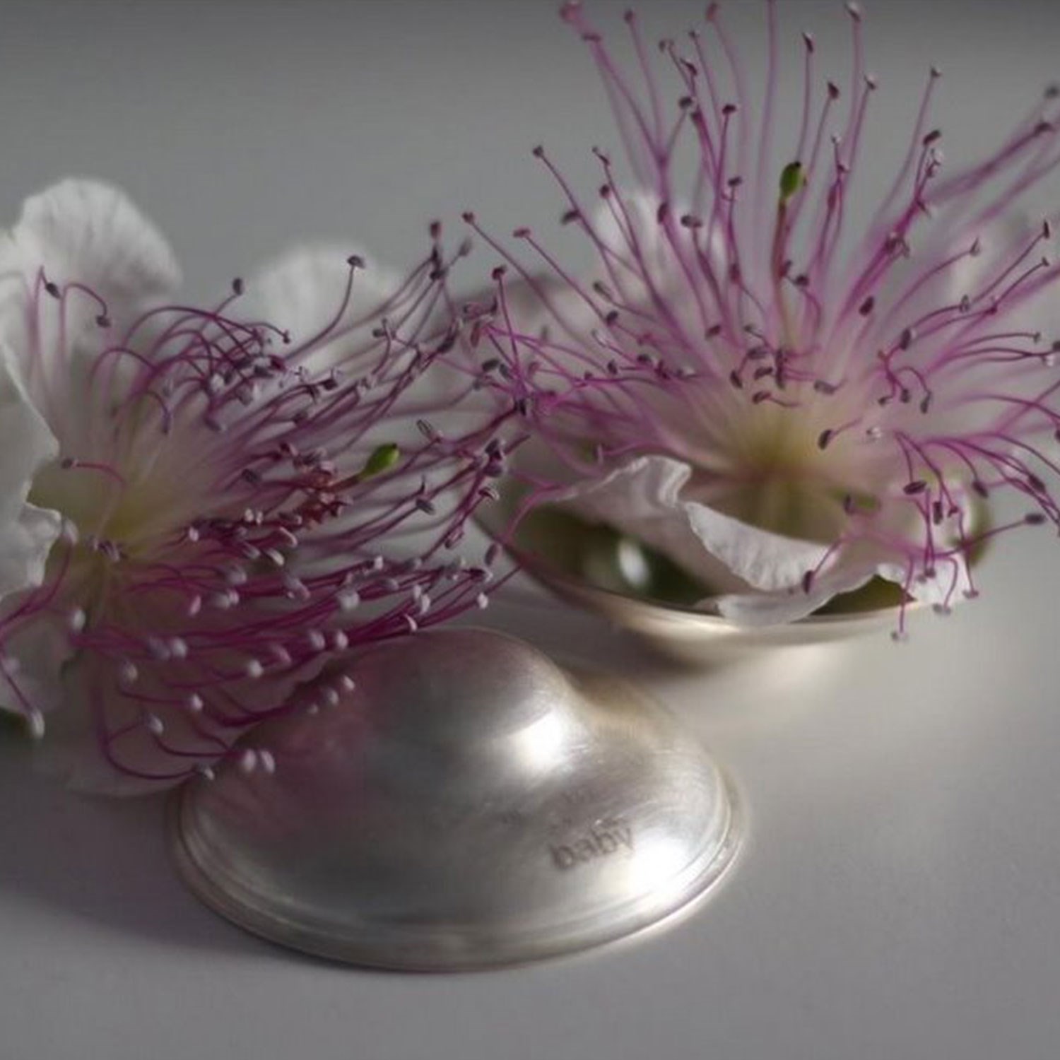 Silver Baby Koruyucu Gümüş Göğüs Ucu Kapağı/Kalkanı SB140815 