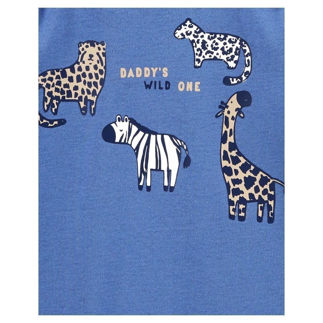 Carter's Bebek Body Set 1N716210 Çok Renkli