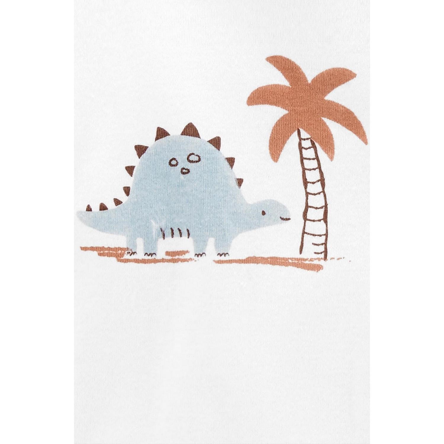 Carter's Layette Erkek Bebek 3'lü Body Set 1N689510 Renkli