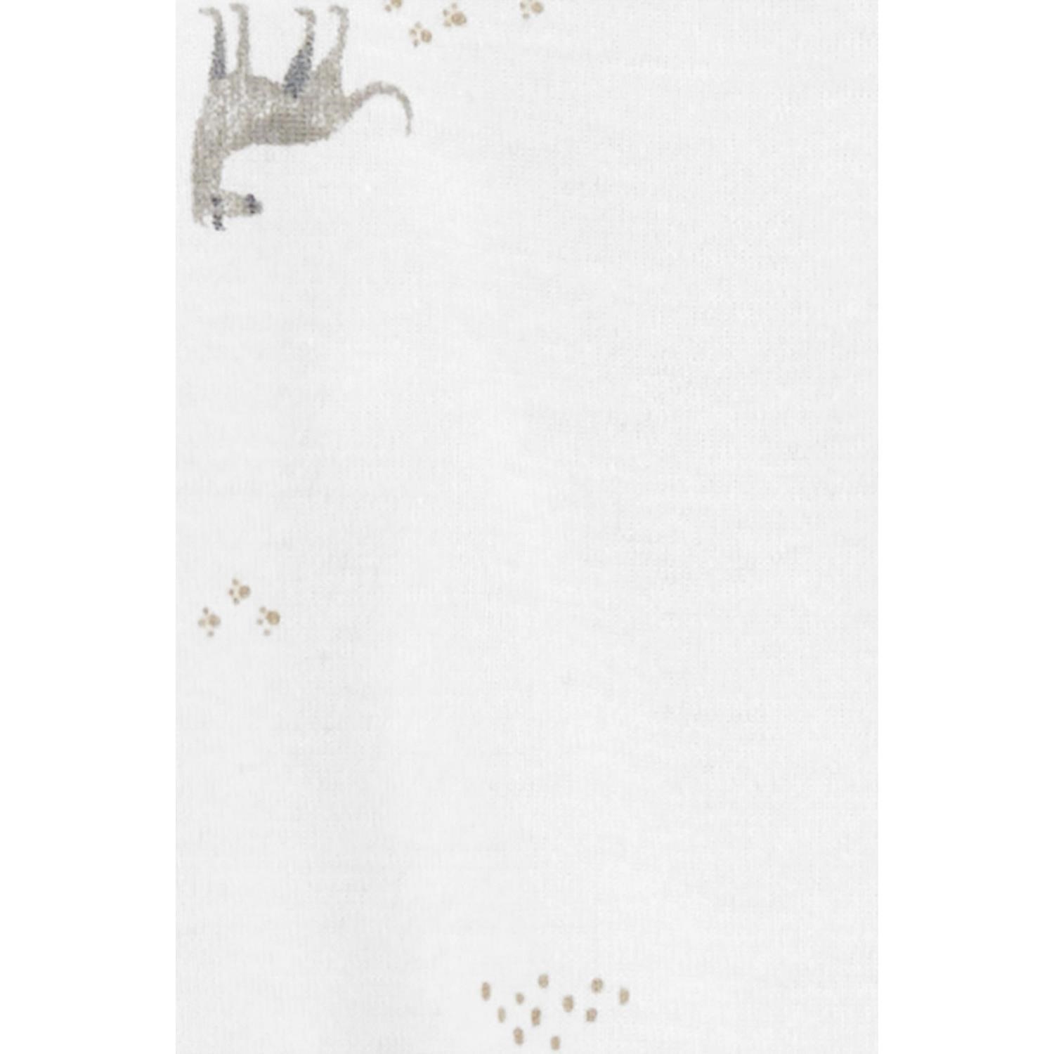 Carter's Layette Erkek Bebek 2'li Tulum Set 1N723710 Çok Renkli