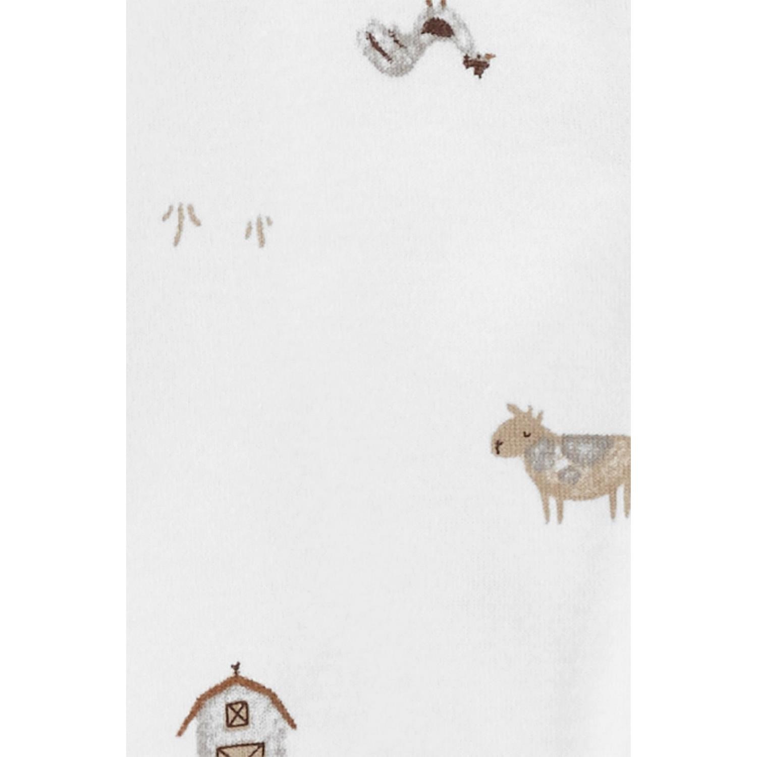Carter's Layette Bebek 2'li Tulum Set 1N724010 Çok Renkli