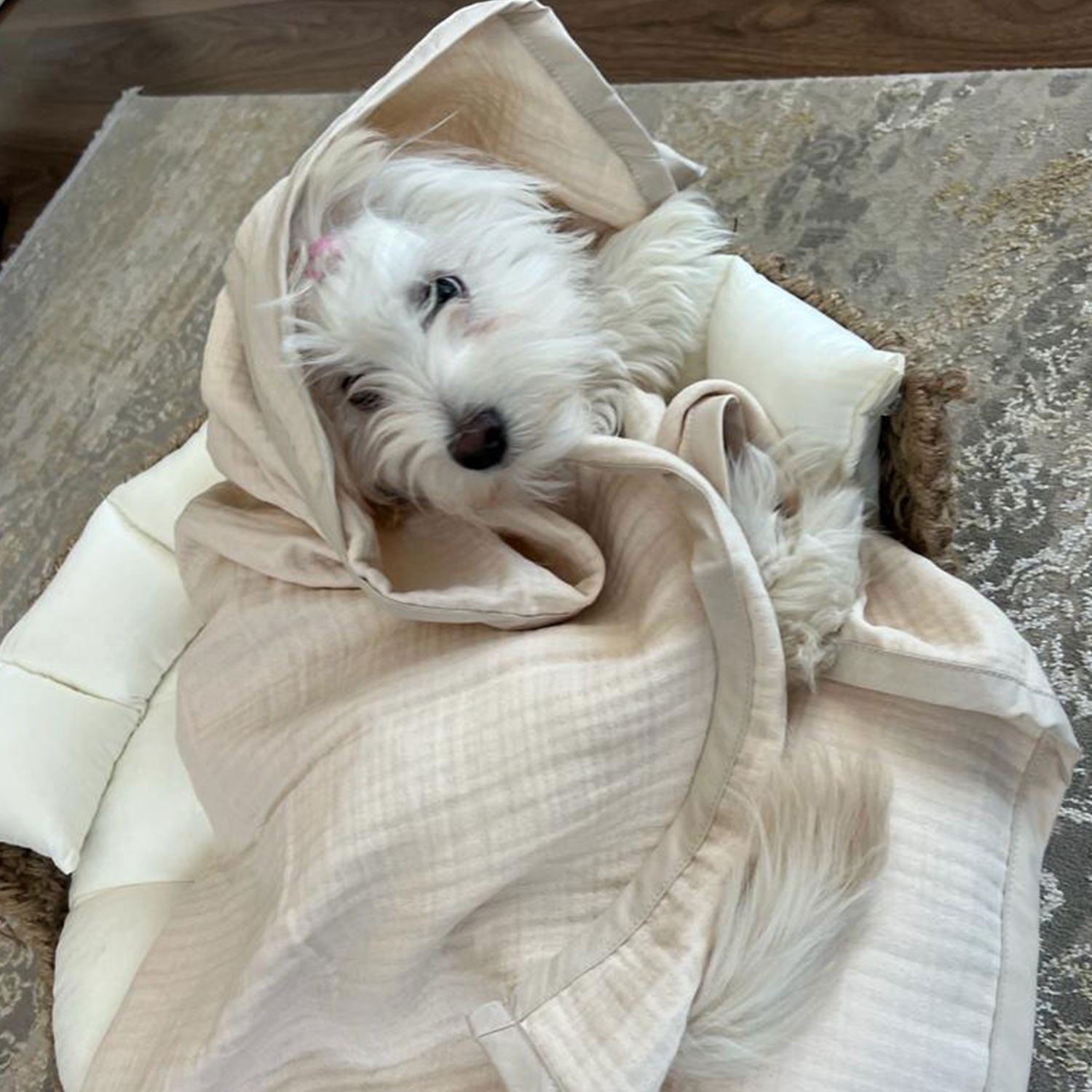 Ezh Kedi ve Köpek Evcil Hayvan Kurulama Havlusu Bej