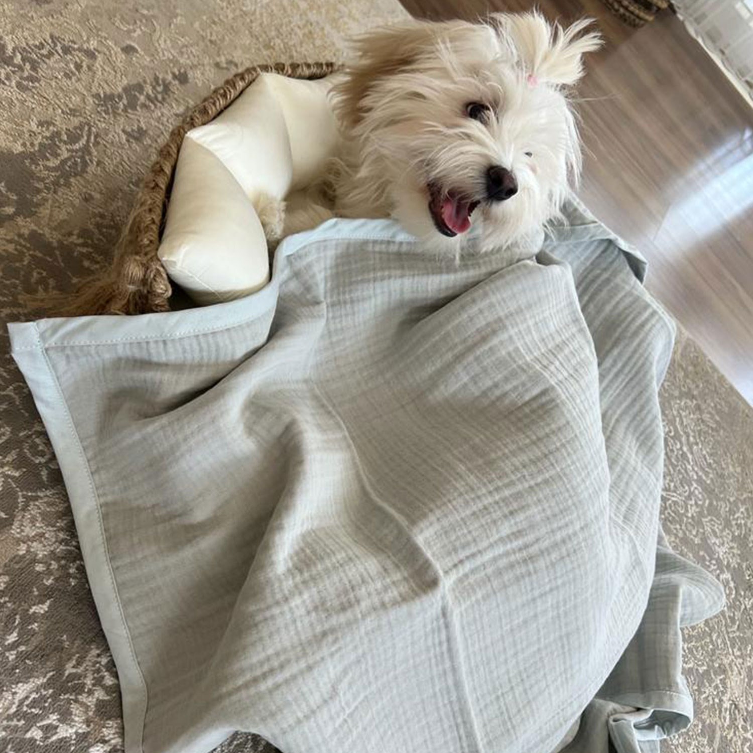 Ezh Kedi ve Köpek Evcil Hayvan Kurulama Havlusu Buz Mavisi