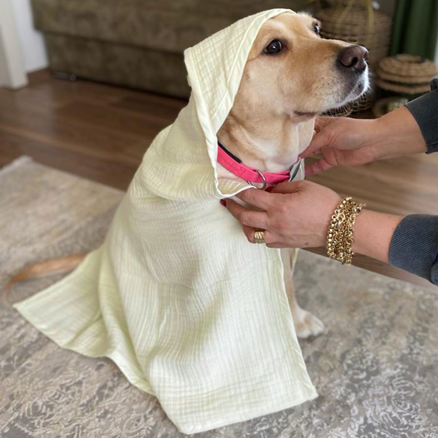 Ezh Kedi ve Köpek Evcil Hayvan Kurulama Havlusu Krem