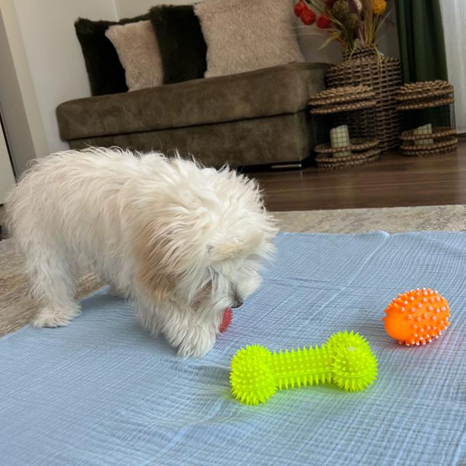 Ezh Kedi ve Köpek Evcil Hayvan Kurulama Havlusu Mavi