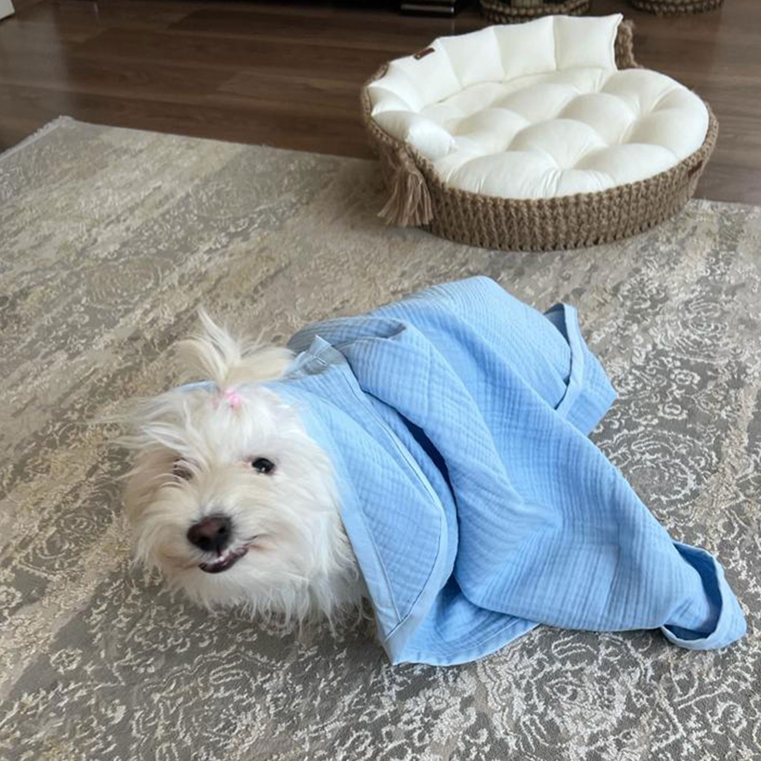 Ezh Kedi ve Köpek Evcil Hayvan Kurulama Havlusu Mavi
