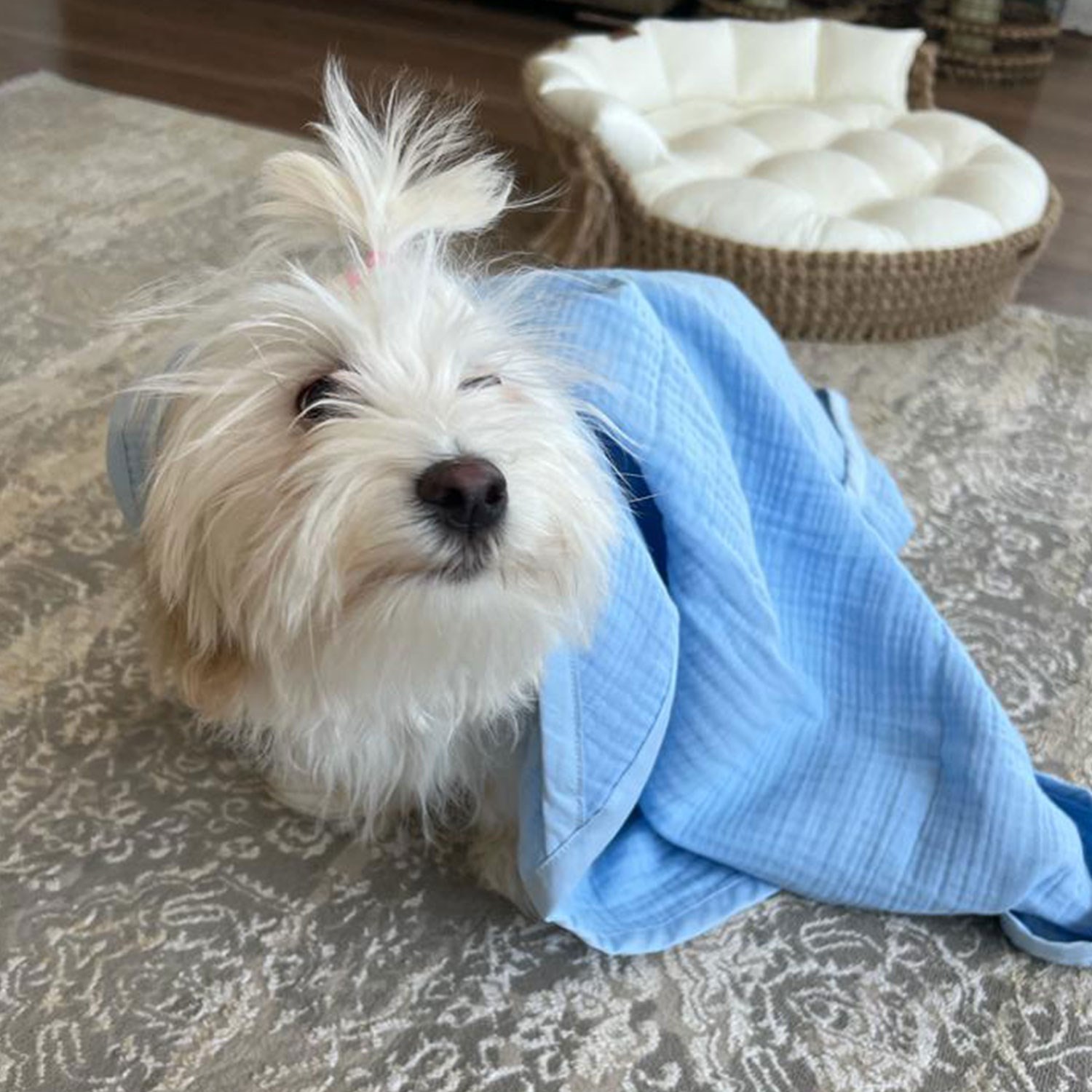 Ezh Kedi ve Köpek Evcil Hayvan Kurulama Havlusu Mavi