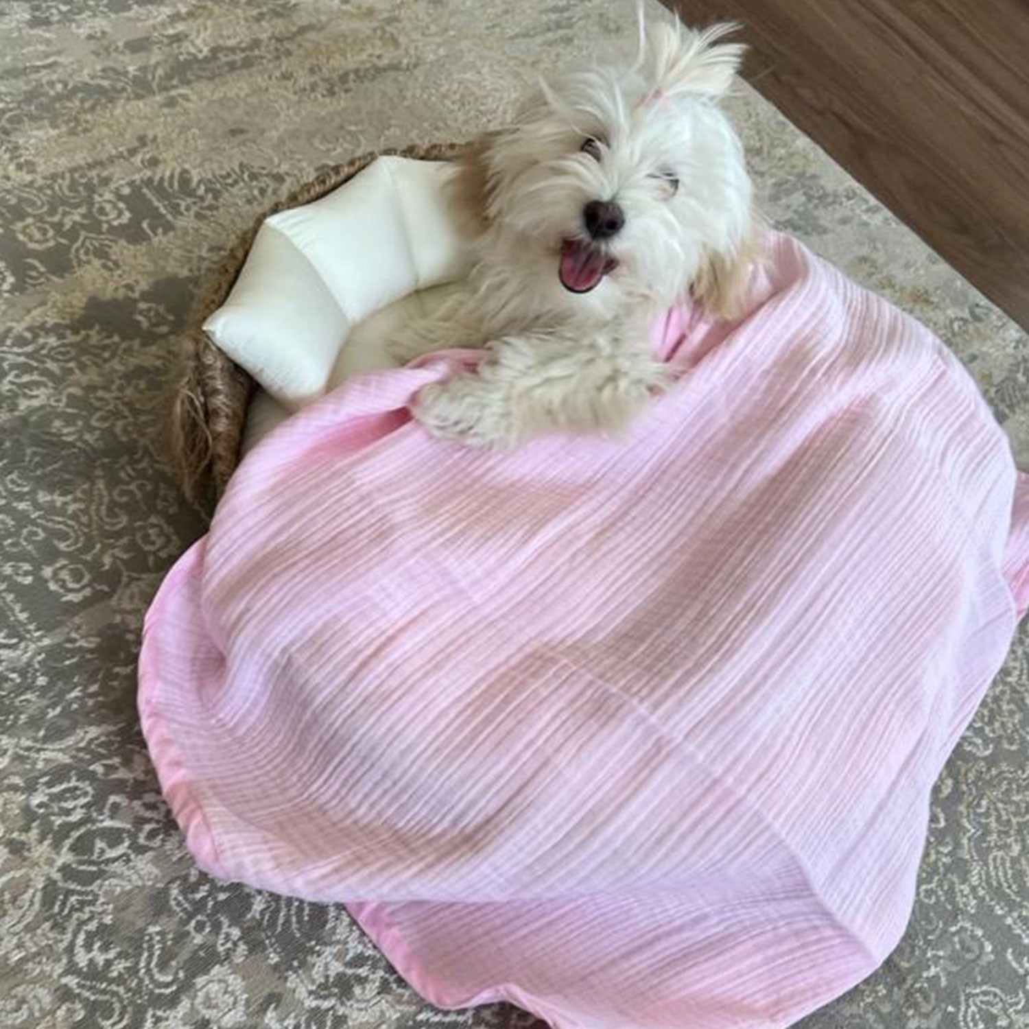 Ezh Kedi ve Köpek Evcil Hayvan Kurulama Havlusu Pembe