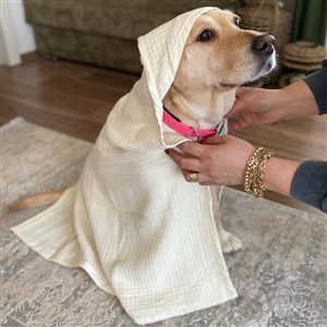 Ezh Kedi ve Köpek Evcil Hayvan Kurulama Havlusu Bej