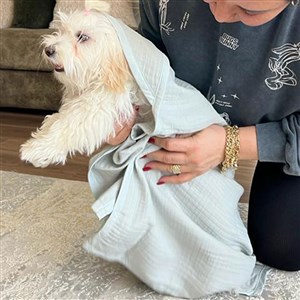Ezh Kedi ve Köpek Evcil Hayvan Kurulama Havlusu Buz Mavisi