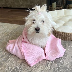 Ezh Kedi ve Köpek Evcil Hayvan Kurulama Havlusu Pembe