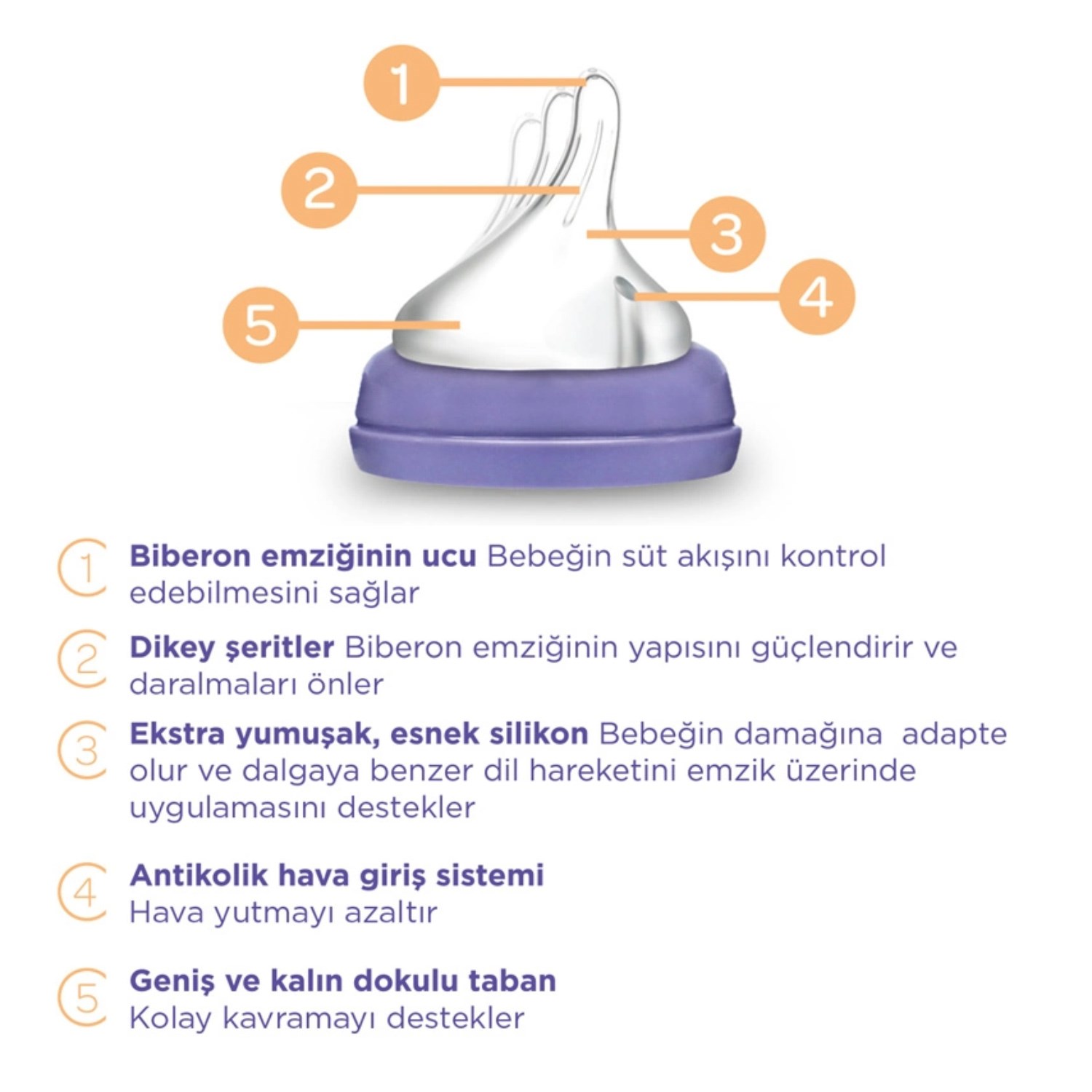Lansinoh 2'li NaturalWave Biberon Seti 160 Ml 75970 