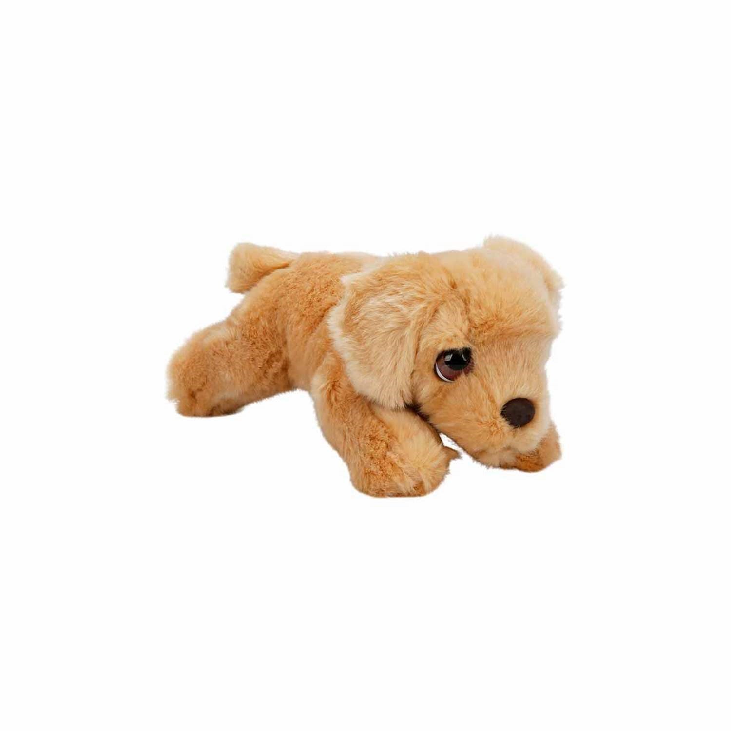 Sunman Peluş Köpek Labrador 25 Cm 2625 