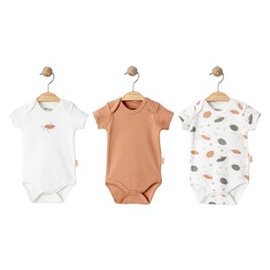 Tiffany Baby Turtles Theme 3'lü Yarım Kol Badi 19008 Ekru