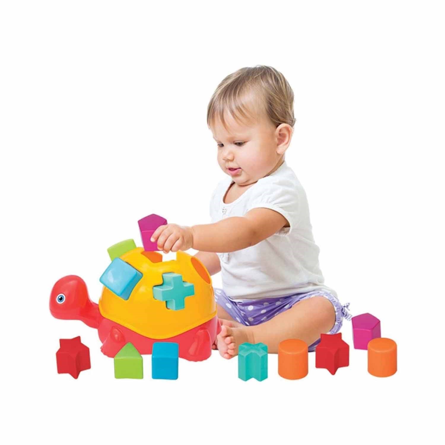Dede Bultak Kaplumbağa 03450 Renkli